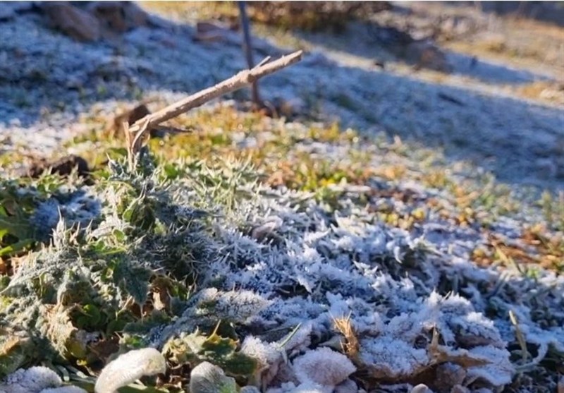 یخبندان غافلگیرکننده در قلب جواهردشت گیلان