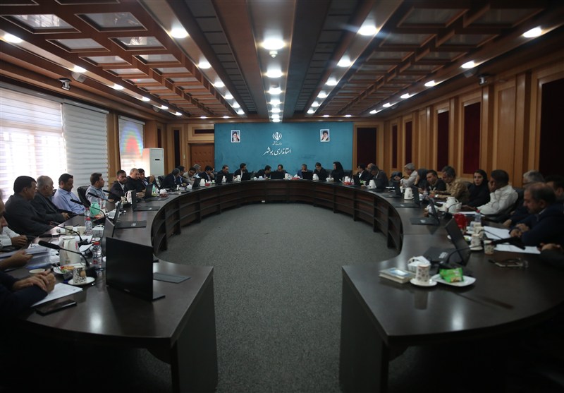 78 درصد مصوبات کارگروه رفع موانع تولید استان بوشهر اجرایی شد