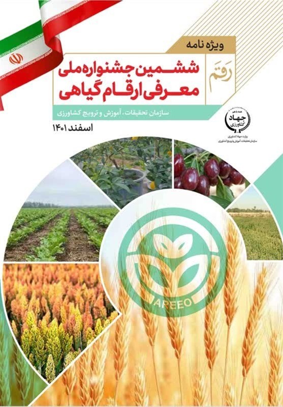 رونمایی از دو رقم برنج، که قبلاً رونمایی شده! کشاورزی ,