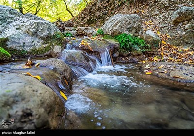 طبیعت پاییزی چشمه لال گلستان