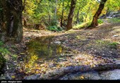 طبیعت پاییزی چشمه لال گلستان