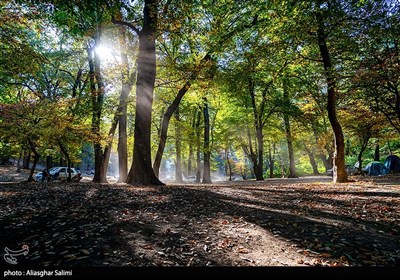 طبیعت پاییزی چشمه لال گلستان