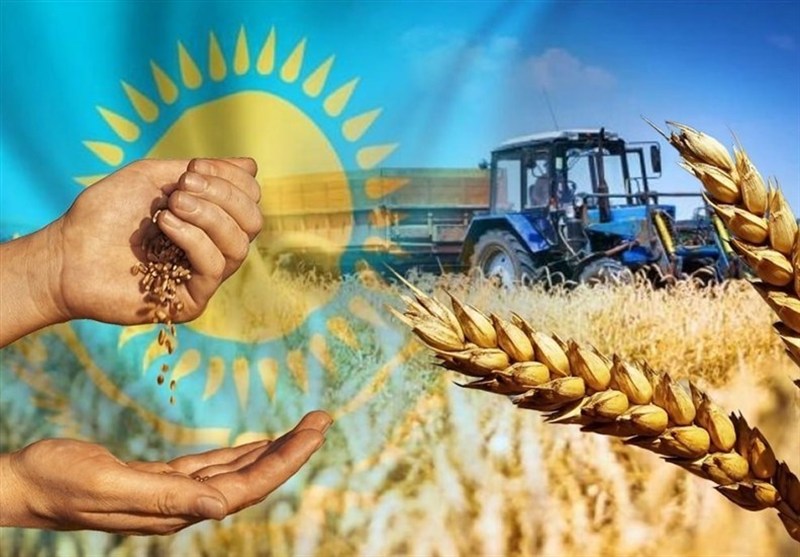 Стратегический разворот Азербайджана: замена российского зерна казахстанской пшеницей
