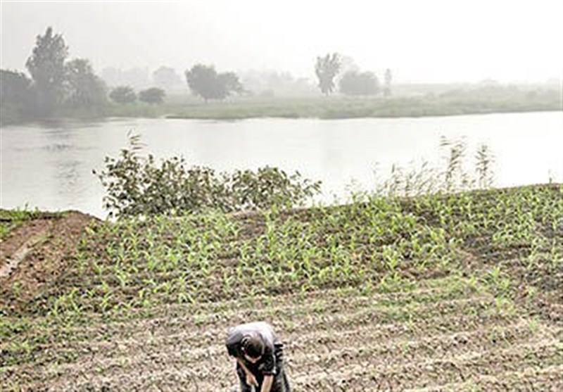 نقش تاریخی نیل در کشاورزی مصر و پیامدهای سدسازی
