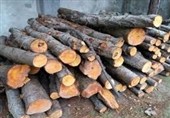کشف 4 تن هیزم جنگلی در اردبیل