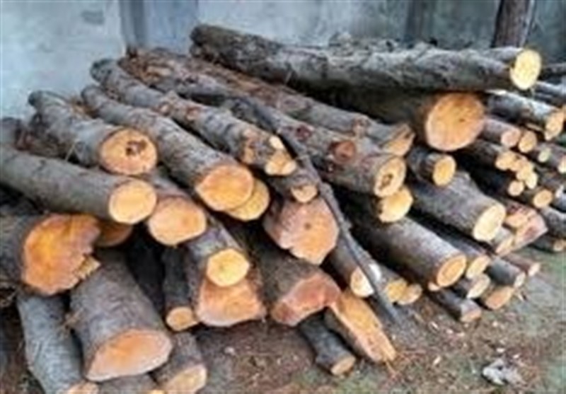 کشف 4 تن هیزم جنگلی در اردبیل