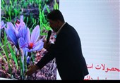 جشنواره و آیین شکرگزاری زعفران استان