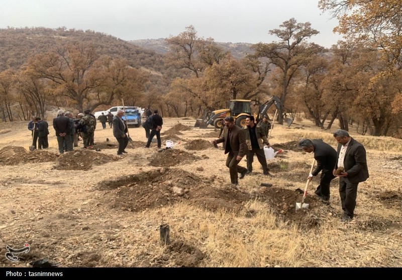 سازمان منابع طبیعی , اخبار استان کهگیلویه و بویراحمد , 