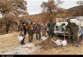 آغاز پویش کاشت نهال در کهگیلویه و بویراحمد+تصاویر