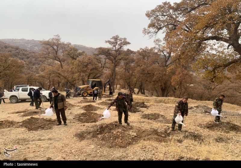 سازمان منابع طبیعی , اخبار استان کهگیلویه و بویراحمد , 