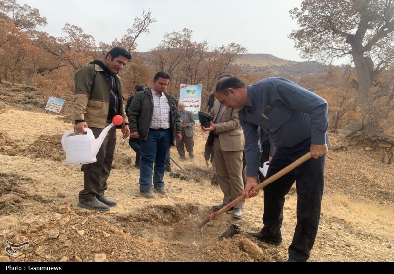 سازمان منابع طبیعی , اخبار استان کهگیلویه و بویراحمد , 