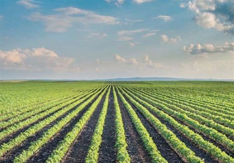 طراحی احیای خاک‌های تخریبی در حاشیه شهرها و روستاهای استان بوشهر