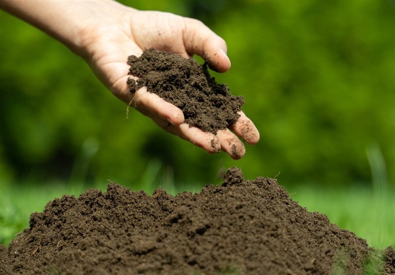خاک سالم کلید تامین امنیت غذایی است؛ نباید به نقطه بی‌بازگشت برسیم