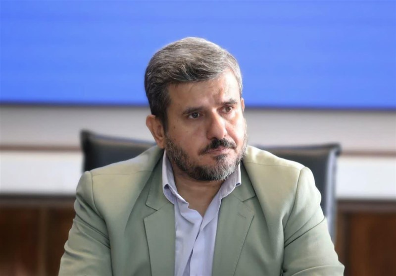 معاون فرمانداری تهران: روند طرد اتباع غیرمجاز کند شده است