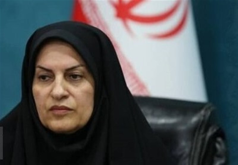 برگزاری دوره تخصصی آموزش قوانین سمن‌ها با هدف تسهیل صدور پروانه در بوشهر