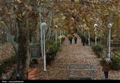 پاییز بارانی وکیل آباد مشهد