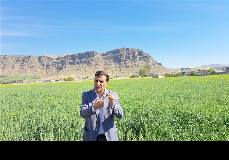 یادداشت| زنجیره نان ایران کجا می‌لنگد؟