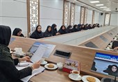 دوره آموزشی روزنامه‌نگاری نوین در خراسان جنوبی برگزار شد