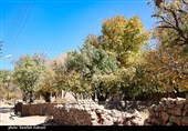 طبیعت پاییزی روستای گردشگری همقاوند