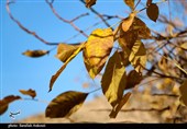 طبیعت پاییزی روستای گردشگری همقاوند