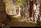 طبیعت پاییزی روستای گردشگری همقاوند