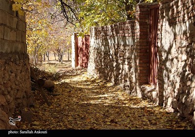 طبیعت پاییزی روستای گردشگری همقاوند