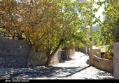 طبیعت پاییزی روستای گردشگری همقاوند