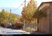 طبیعت پاییزی روستای گردشگری همقاوند