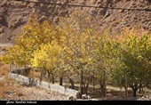 طبیعت پاییزی روستای گردشگری همقاوند
