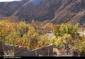 طبیعت پاییزی روستای گردشگری همقاوند