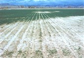 وسعت زمین‌های شور ایران به 10 میلیون هکتار رسید/ با گسترش نگران‌کننده مواجهیم