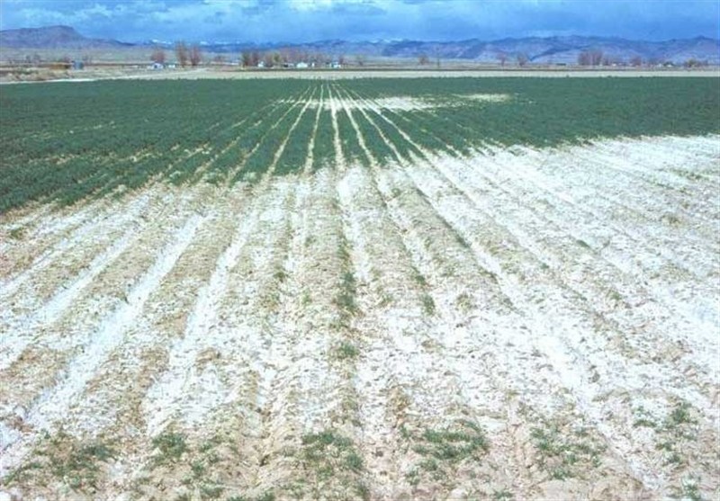 وسعت زمین‌های شور ایران به 10 میلیون هکتار رسید/ با گسترش نگران‌کننده مواجهیم