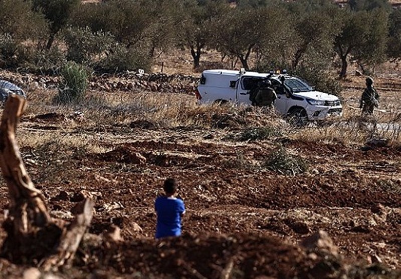 إصابة مسنة وحفيدها ومتضامين أجانب في هجمات للمستوطنين شرق رام الله