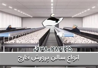 خرید کمپوست باکیفیت و آموزش حرفه‌ای پرورش قارچ از قارچ روم - از شروع تا برداشت با شما هستیم