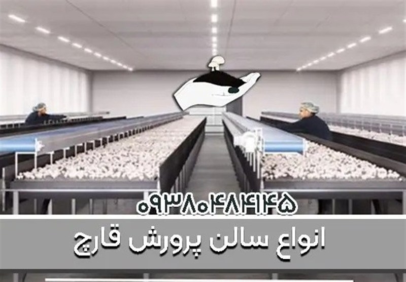 خرید کمپوست باکیفیت و آموزش حرفه‌ای پرورش قارچ از قارچ روم - از شروع تا برداشت با شما هستیم