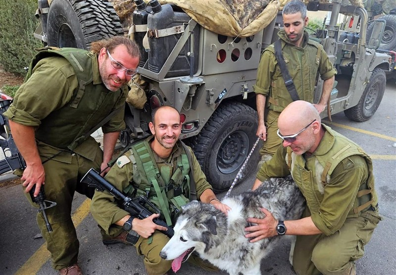 Israeli Soldiers Brought Low by Rabid Puppy in West Bank Plunder