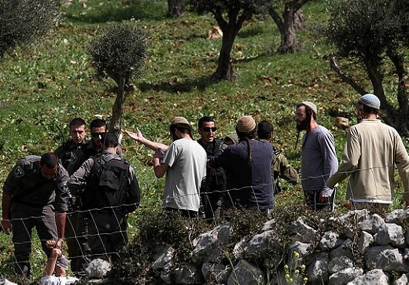 600 קציני ביטחון לשעבר מזהירים את כ"ץ: טרור המתנחלים הוא איום אסטרטגי על ישראל