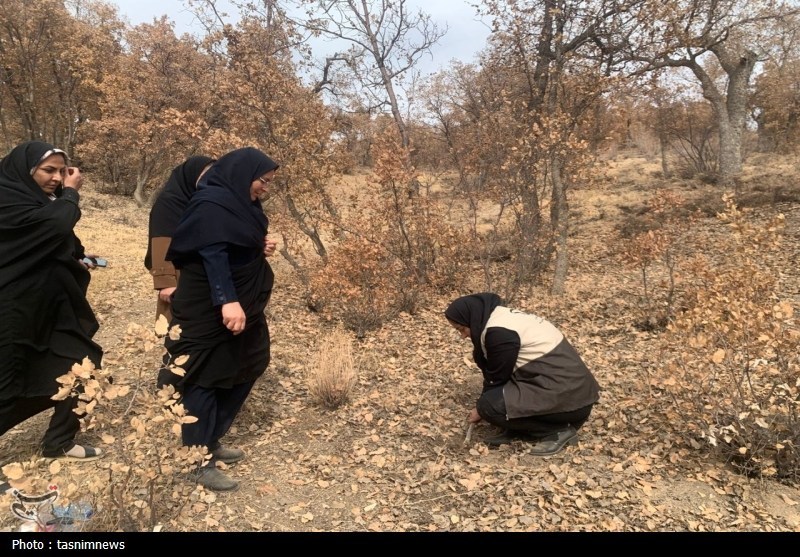 مادر , اخبار استان کهگیلویه و بویراحمد ,