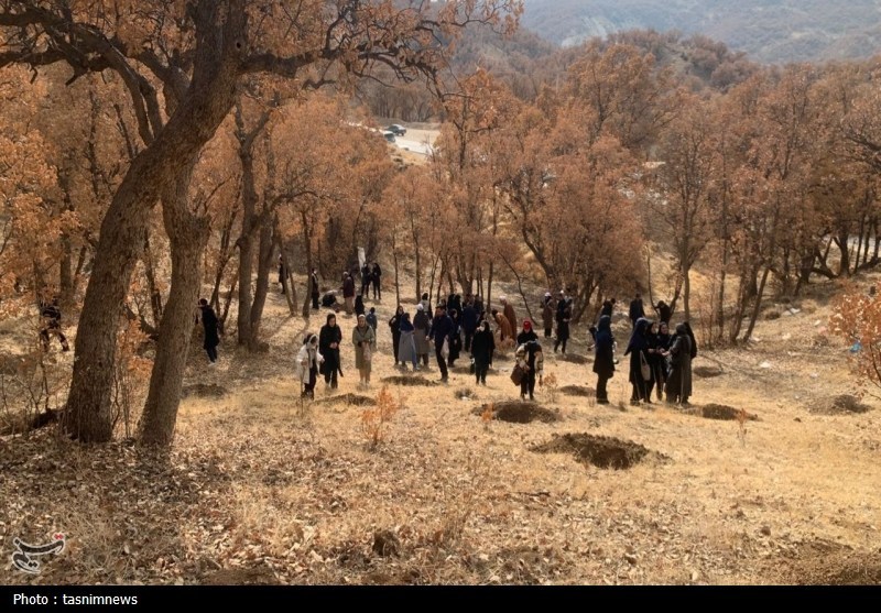 پویش ایران بانو با کاشت نهال به استقبال روز مادر رفت