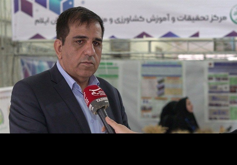 تولید 13 رقم جدید بذر گندم و 13 رقم سیب‌زمینی بذری ‌در استان ایلام‌ + فیلم