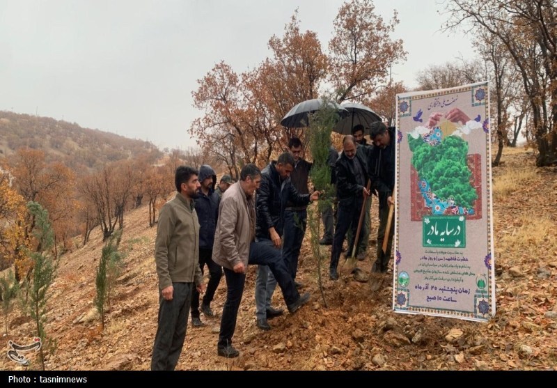 اخبار استان کهگیلویه و بویراحمد , سازمان منابع طبیعی , 