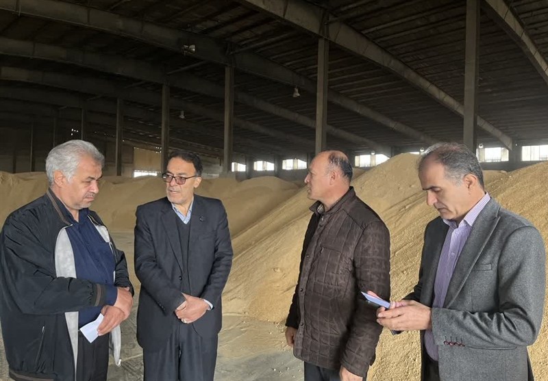 گشایش ارزی 1.7 میلیارد دلاری برای تامین نهاده‌های دامی