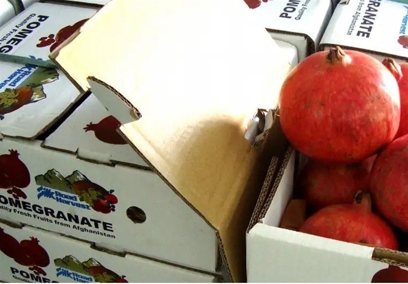 توافق طالبان و روسیه برای گسترش صادرات محصولات کشاورزی