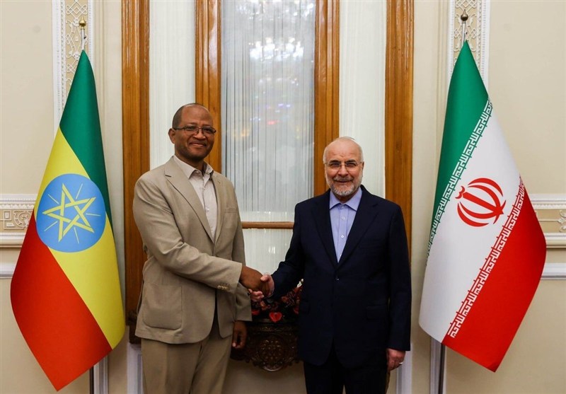 Iran, Ethiopia Eye Closer Parliamentary, Economic Ties
