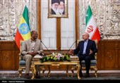 دیدار و کنفرانس خبری مشترک رؤسای مجالس ایران و اتیوپی
