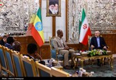 دیدار و کنفرانس خبری مشترک رؤسای مجالس ایران و اتیوپی