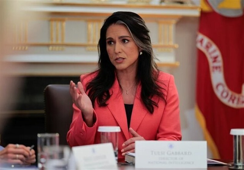 گابارد: برخی پناهجویان افغان مقیم آمریکا مظنون به تروریسم هستند