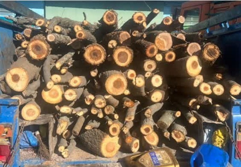 8 تن هیزم جنگلی در اردبیل کشف و ضبط شد