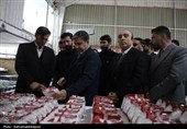 بازدید استاندار و کارگروه میدانی از 5 واحد تولیدی اردبیل برای رفع موانع تولید