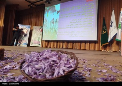 زعفران زاگرس در کانون توجه؛ همایش تخصصی در سروآباد+تصویر